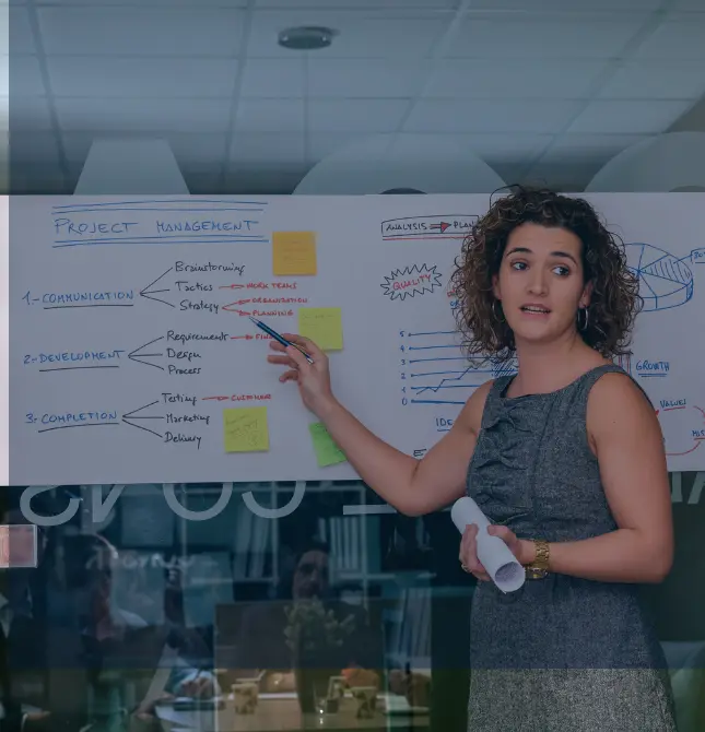 project-management